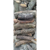 Свіжорозпилені колоди дерев діаметром від 5 до 30 см у кількості 19 шт