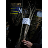 Три фрагменти свіжозрубаних дерев з гілками, довжиною кожного відповідно: 410 см, 360 см, 280 см, діаметром стовбурів на зрубі відповідно: 4 см, 5 см, 7 см.