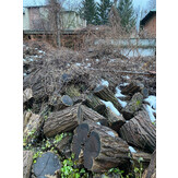 Колоди дров'яної деревини твердої породи "Акація" об'ємом близько 18,24 м³