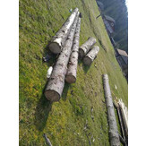 Лісопродукція породи "Смерека" в кількості 6 колод довжиною по шість метрів кожна, загальною масою 2,22 метри кубічні