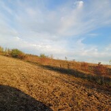 Право оренди земельної ділянки сільськогосподарського призначення, площею 16,7375 га, за кадастровим номером 7324085600:06:001:0081, яка розташована за межами с. Лопатів Дністровського району Чернівецької області