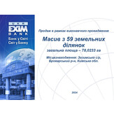 Продаж земельної ділянки, кадастровий № 3221282800:02:002:0011, площею 0,6714 га, цільове призначення: для ведення підсобного сільського господарства, що знаходиться за адресою: Київська область, Броварський район, Зазимська сільська рада