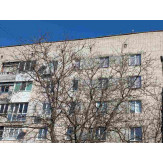 Конфісковане майно за рішенням суду: 1/5 частка п'ятикімнатної квартири, загальною площею 101.7 кв.м., житловою площею 63.6 кв.м. за адресою м. Вінниця, вул. Корнелюка Павла, будинок 36, квартира 13