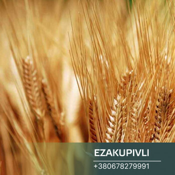 Продаж Полтавського комбінату хлібопродуктів