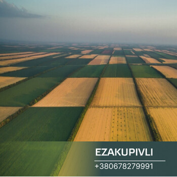 Продаж земельної ділянки В Шацьку для будівництва об'єктів торгівлі