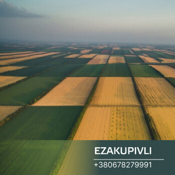 В Львовской области на электронные земельные аукционы выставлены четыре земельных участка