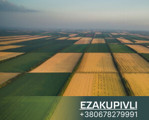 Земельный Банк: Правительство Передало ФГИУ Более 104 тыс. Га Земли для запуска проекта