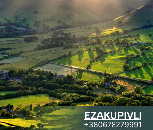 ФГИ выставил на приватизацию деревообрабатывающее предприятие на Волыни